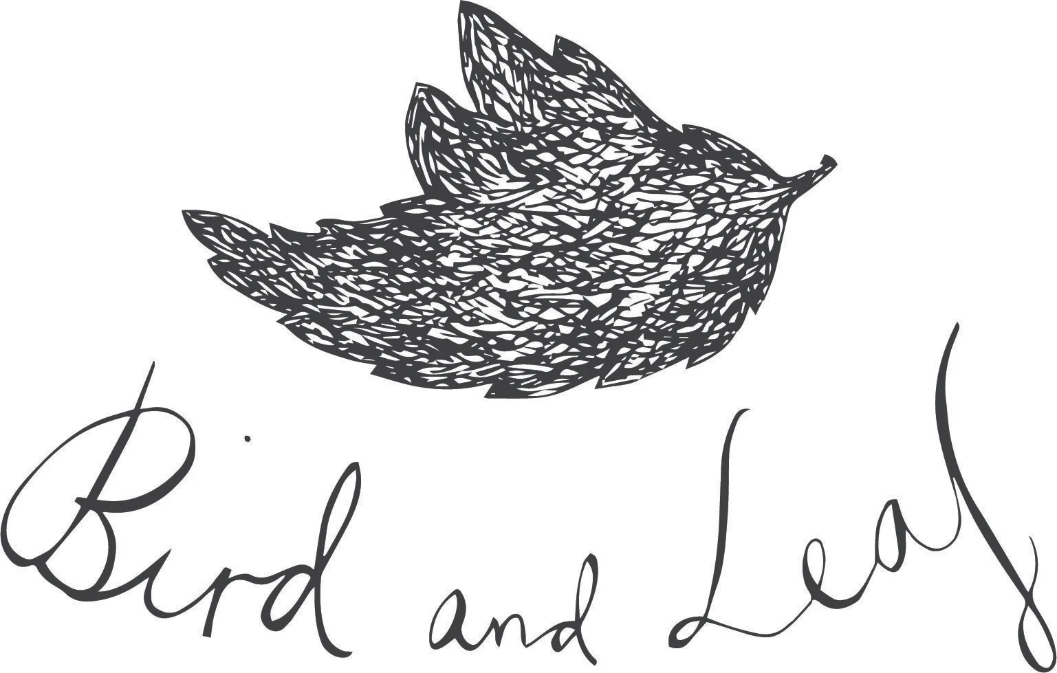 bird.jpg