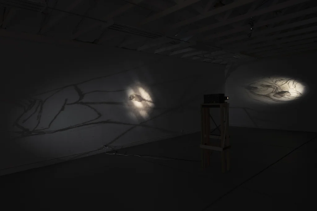 Komorebi_installation07.jpg