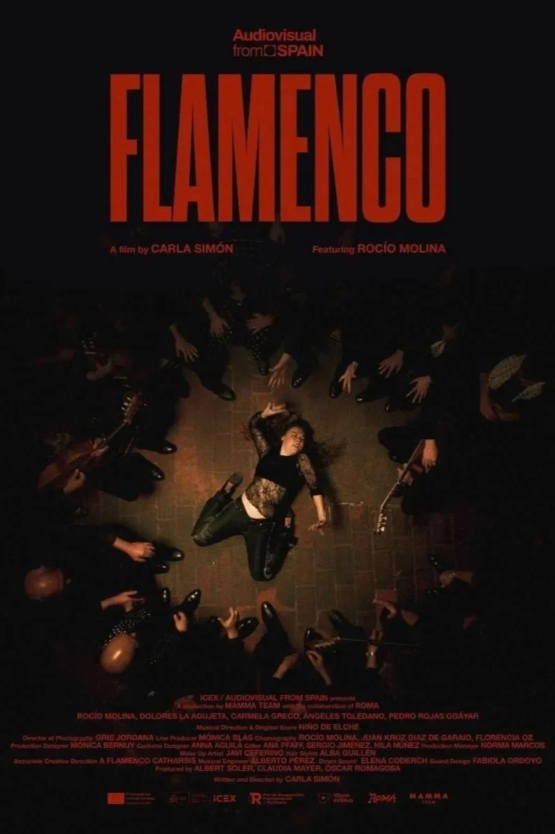 flamenco-632829380-large.jpg