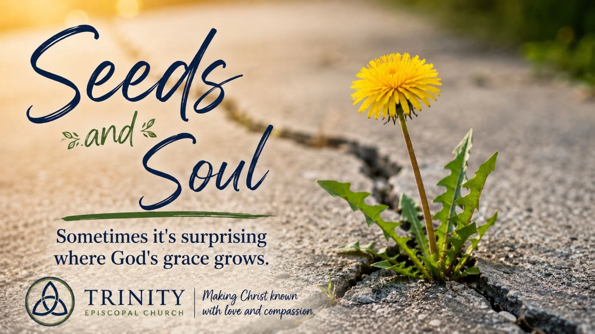 Seeds and Soul