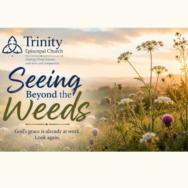 Seeing Beyond the Weeds