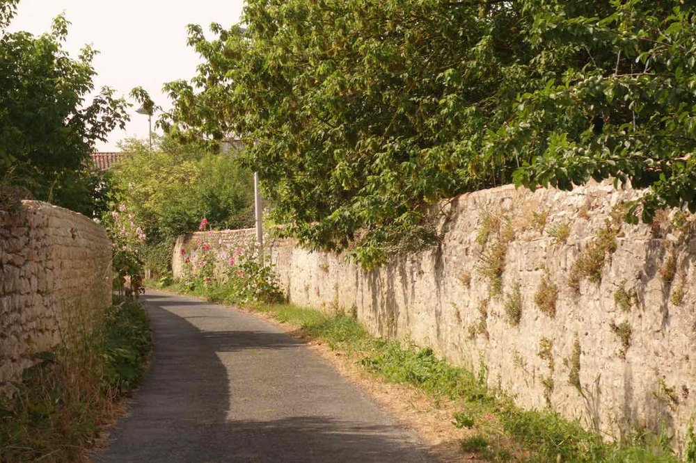 Small road in Rivedoux