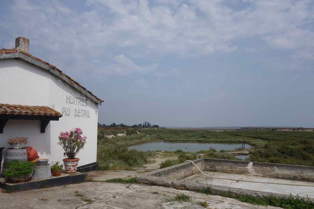 Oyster farm near Ars en Ré