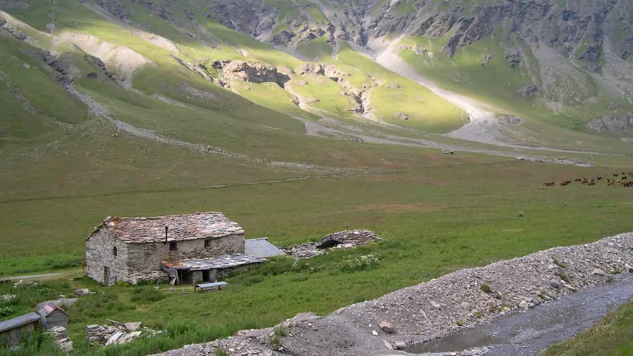 Alpage de la Sassière2.jpg
