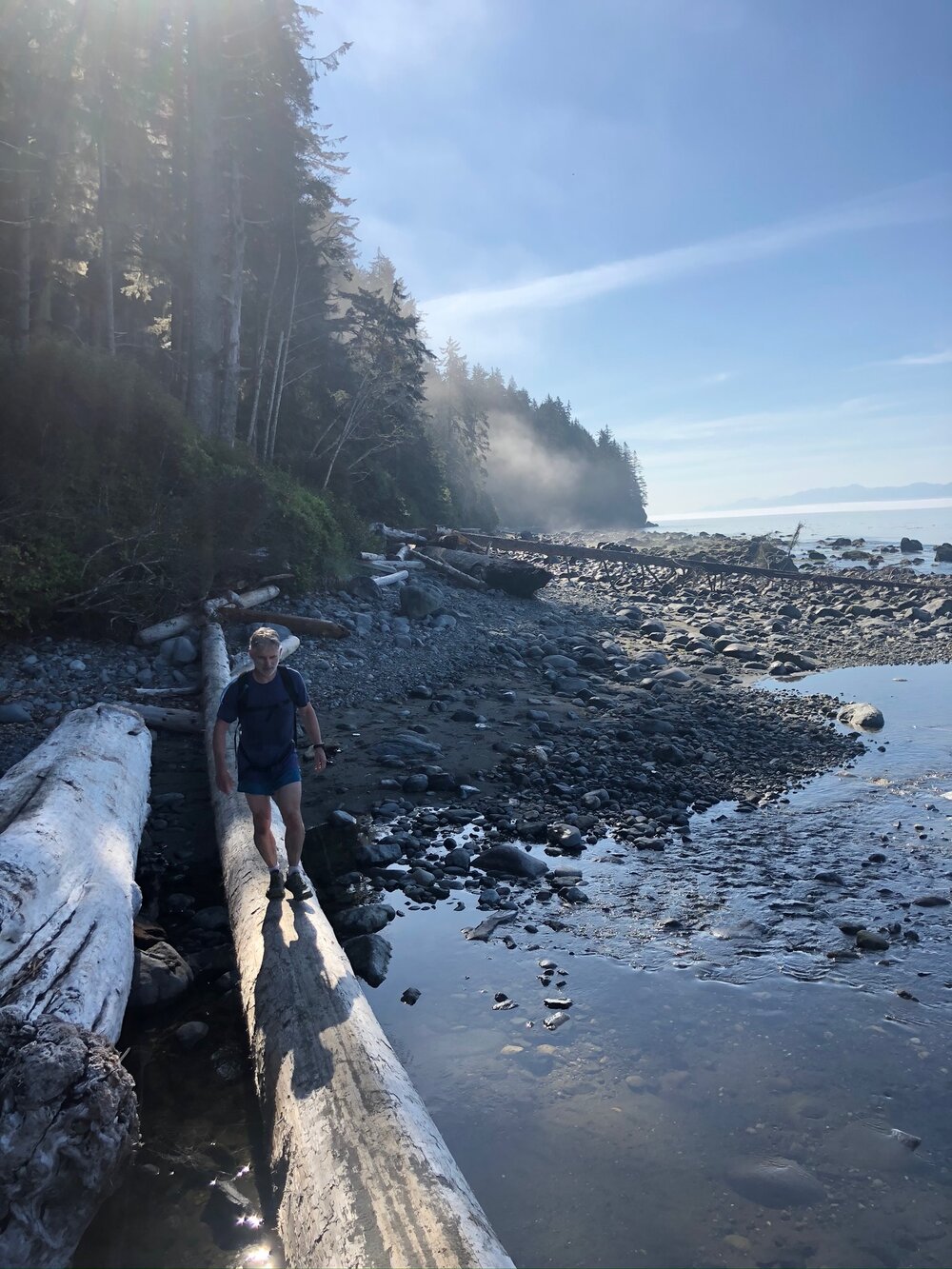 Crossing on big logs