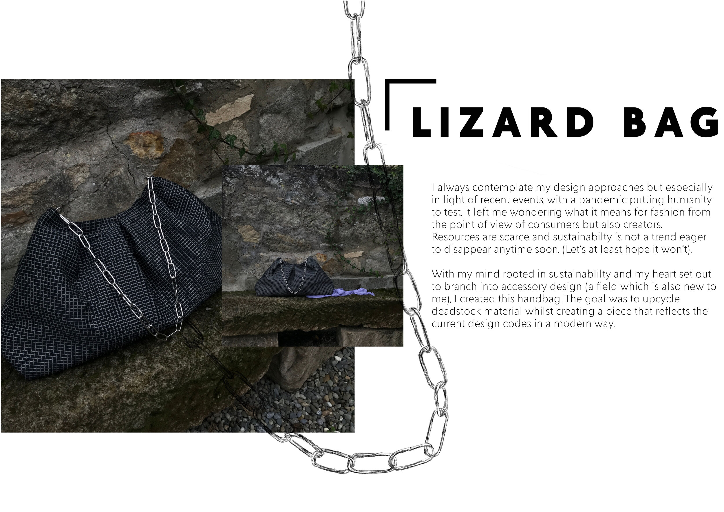 LizardBagWebsiteready.jpg