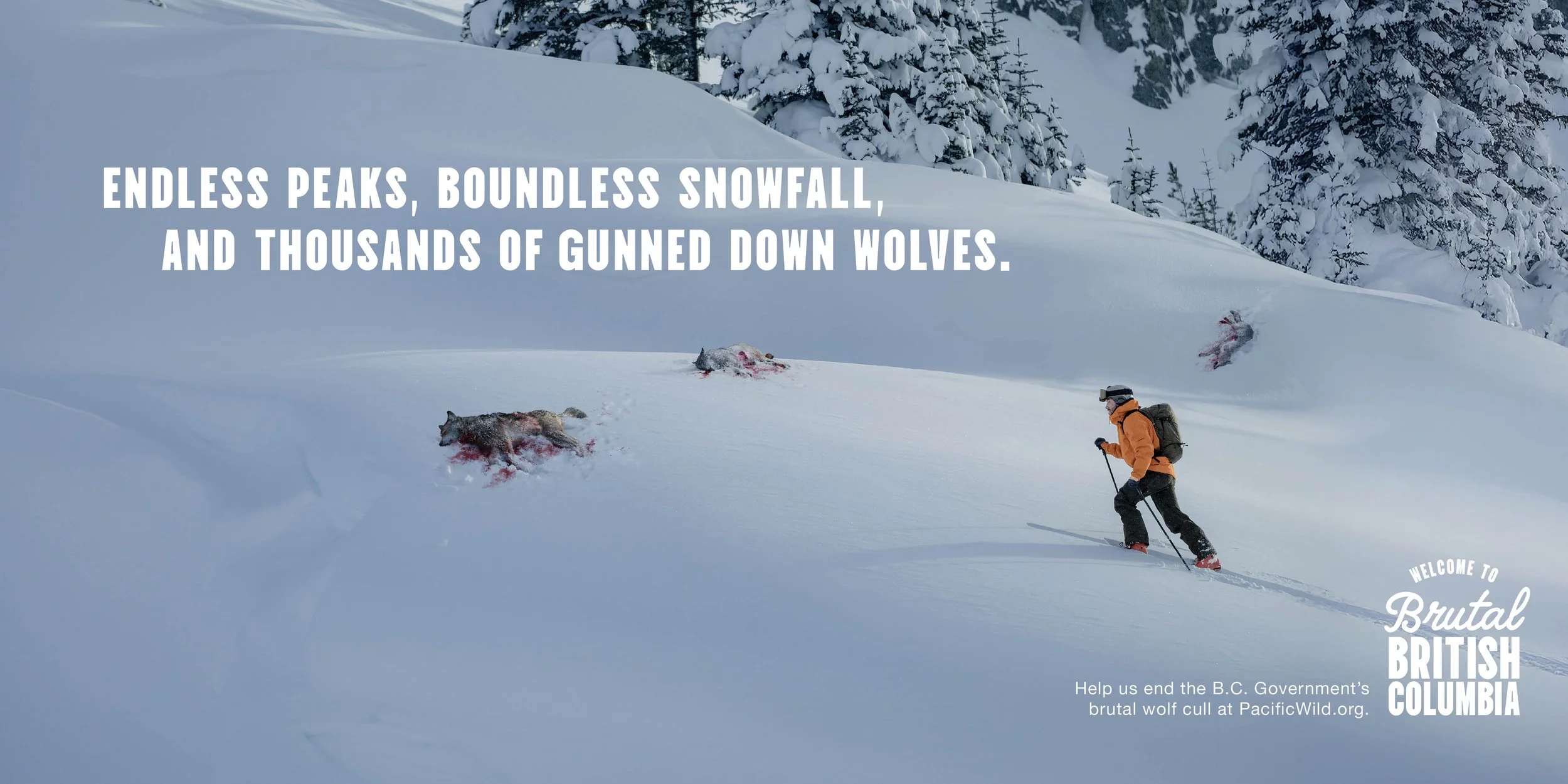 2025-PacificWild-WolfCull-OOH-SKI.jpg