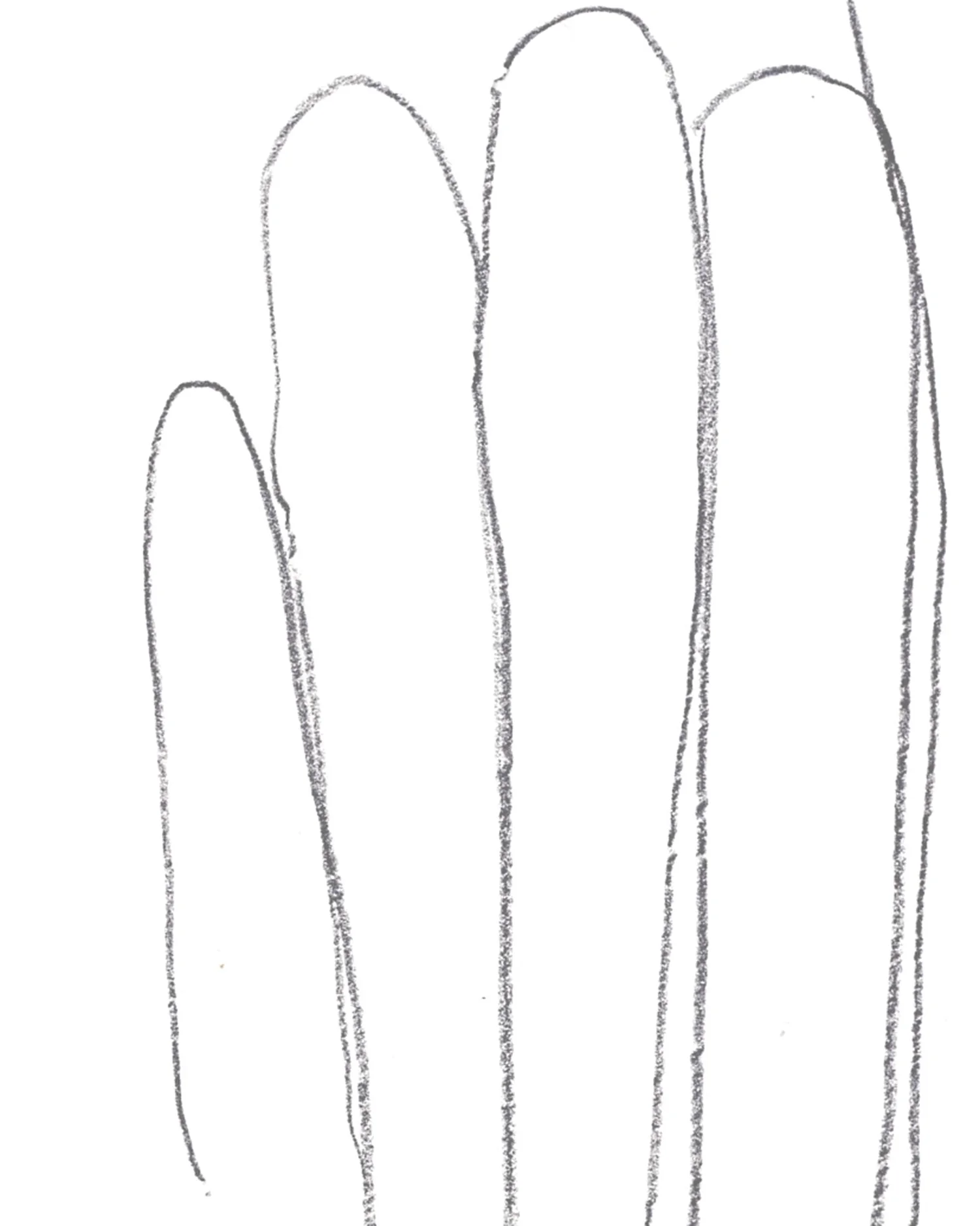 Summer Corn
