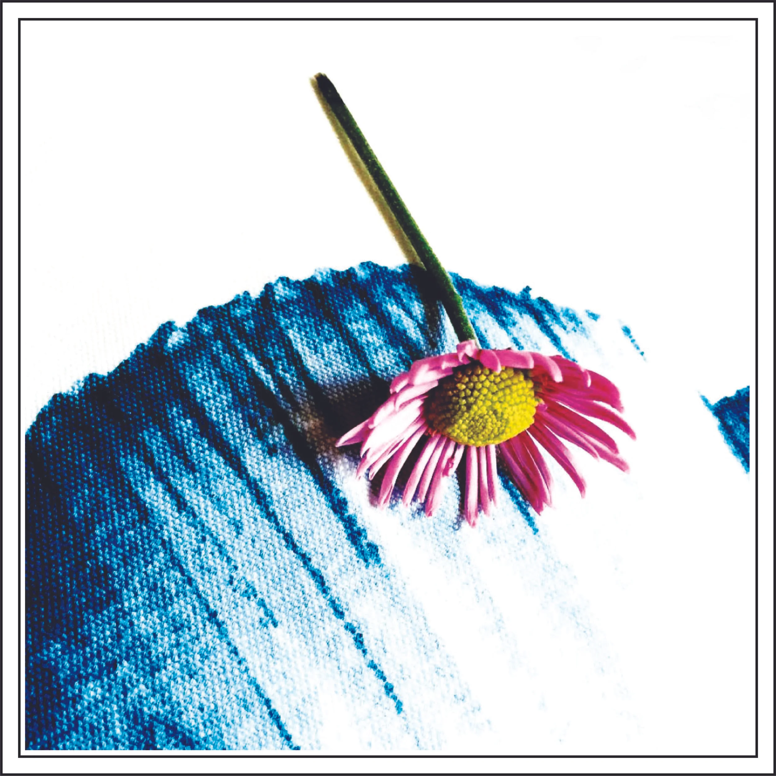 Flower of Mine 3.jpg