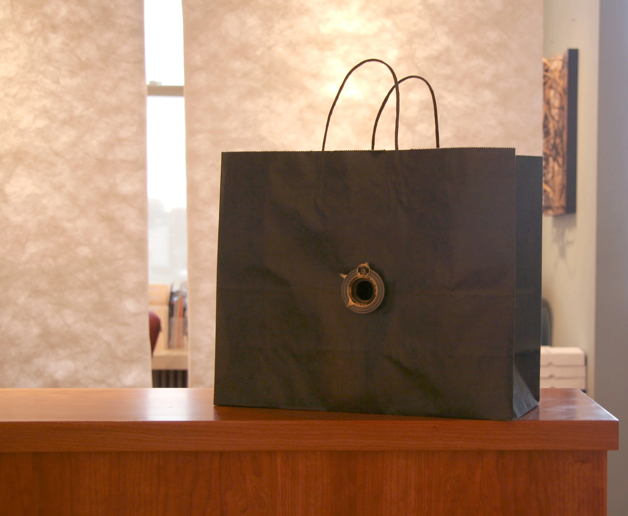 Bagged , 2005 Paper, metal, glass 13x16x6in A shopping bag camera obscura. Installation view Alan Klotz Gallery, NYC.