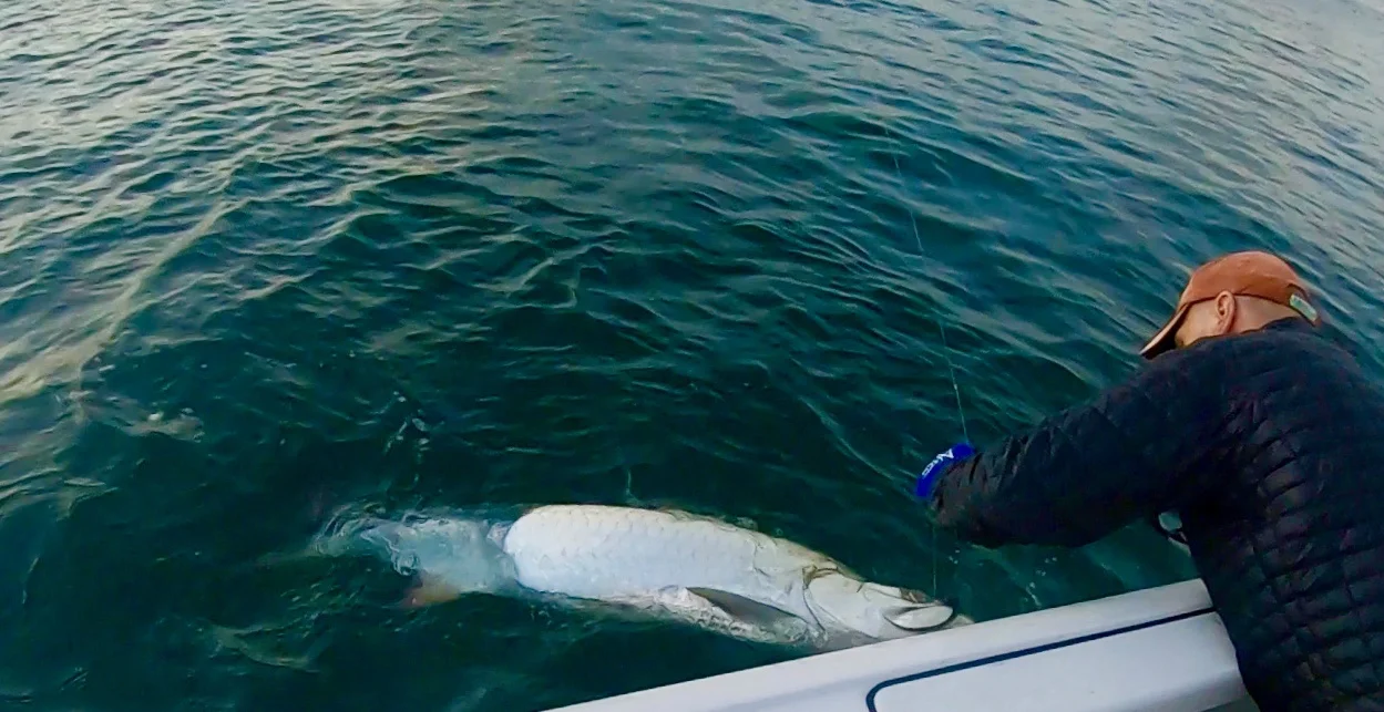 Mauri Flyfishing Tarpon