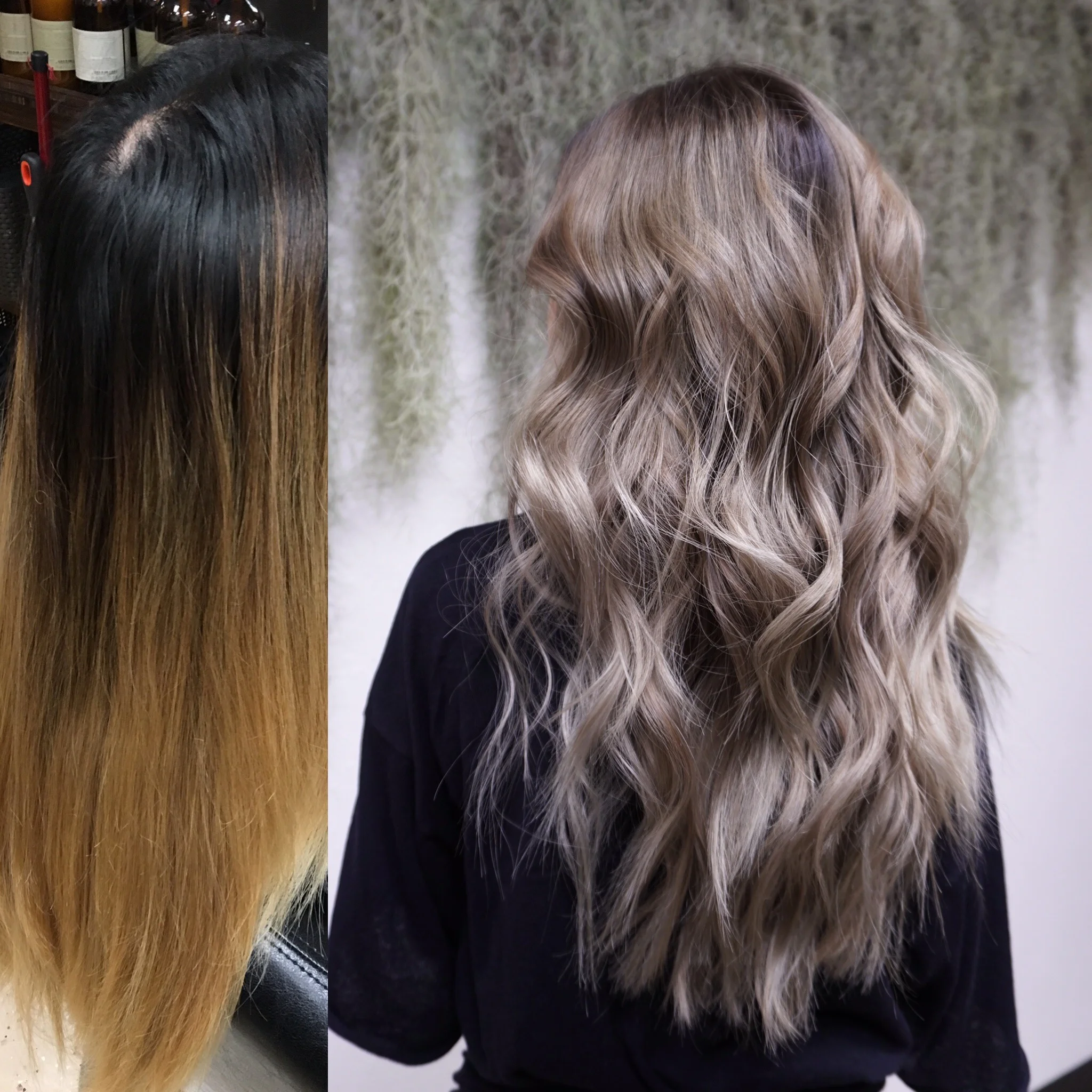 Women's and Men's Haircut Honolulu Best Cut for Long & Short Hair for