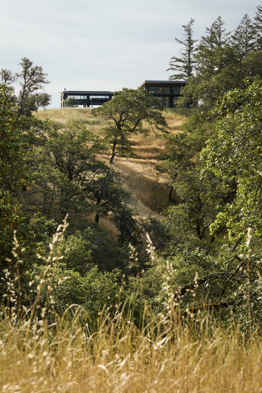 The restored land has dramatic inclines.