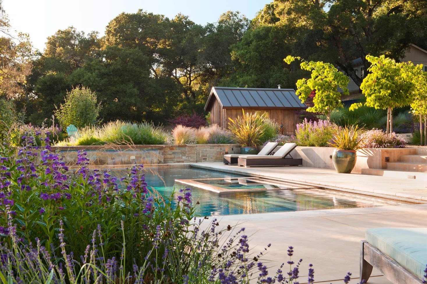 We reclaimed a pool that was on the original property to become housing for the pool mechanics.
