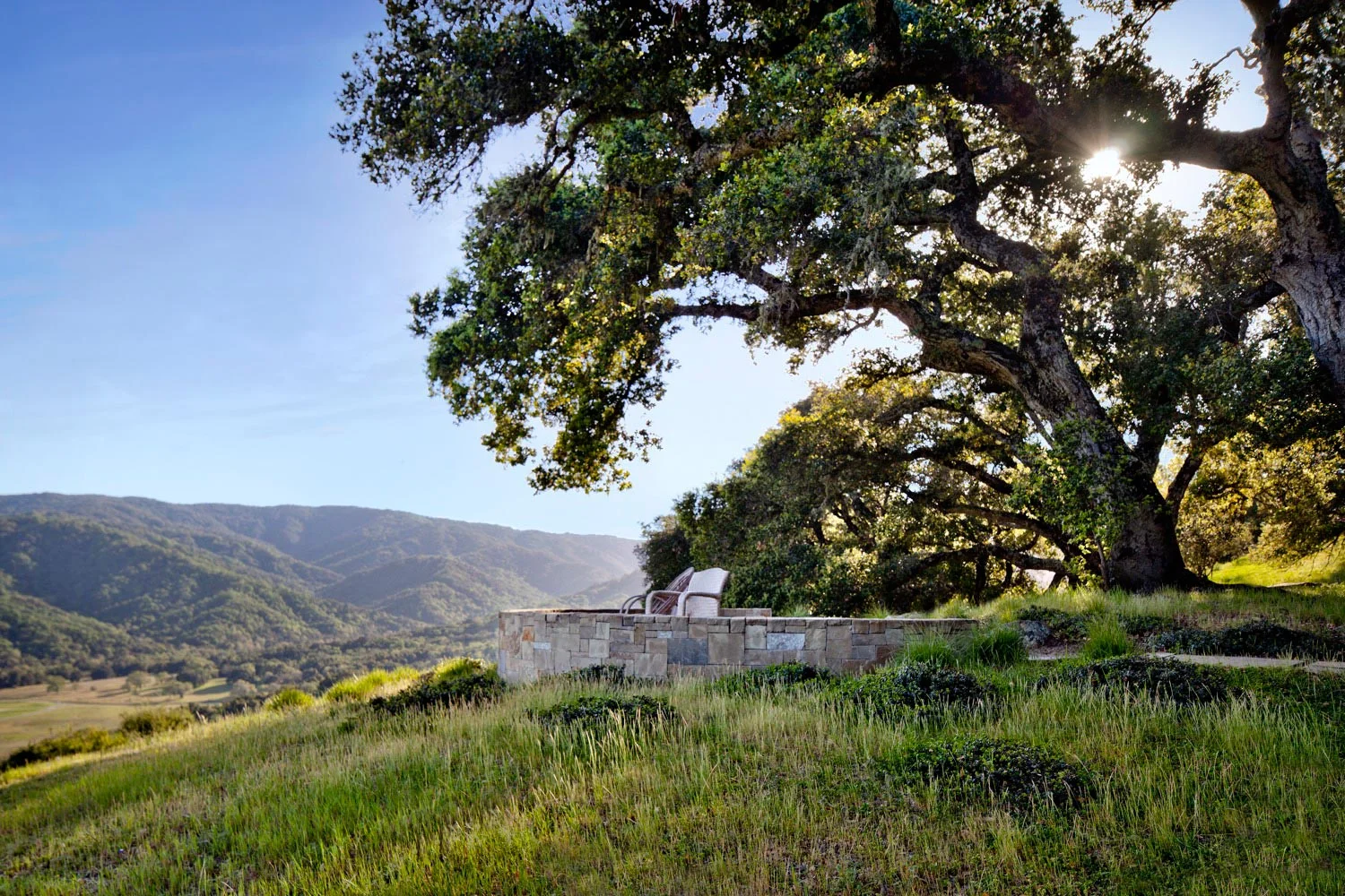 A circular stone wall under dramatic established oaks creates a seating area and lookout.
