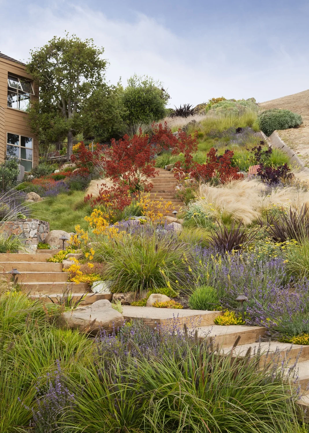 The staircase, seating area and plantings create an enjoyable garden from an unusable, steep slope.