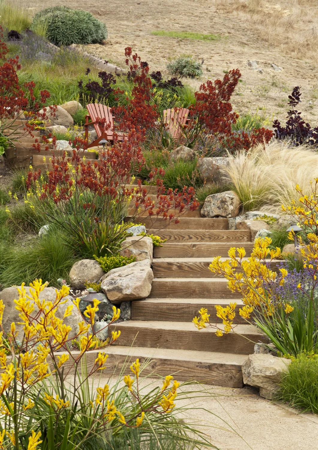 Red and yellow plantings warm up cool tones of the site.