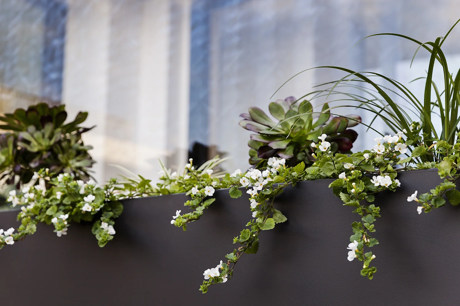 A detail photo shows spring green plantings and a powder-coated metal planter.