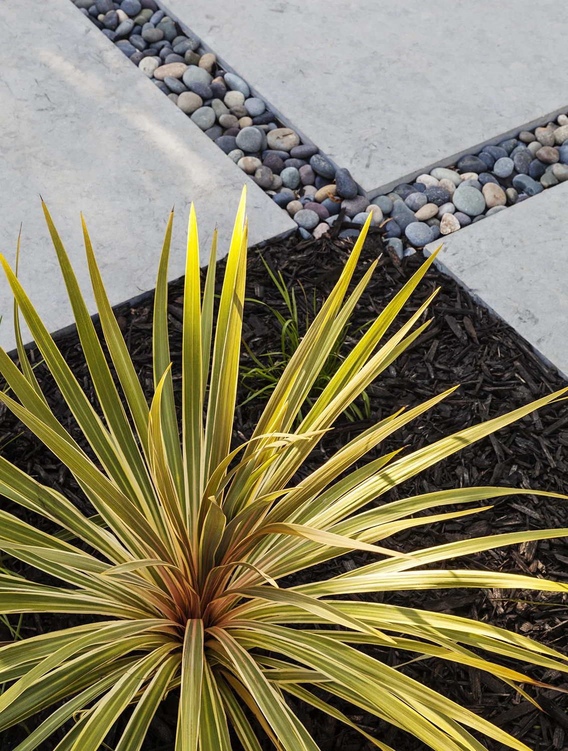 A detail shot shows the interplay of the stone pavers, pebbles and low-water plantings.