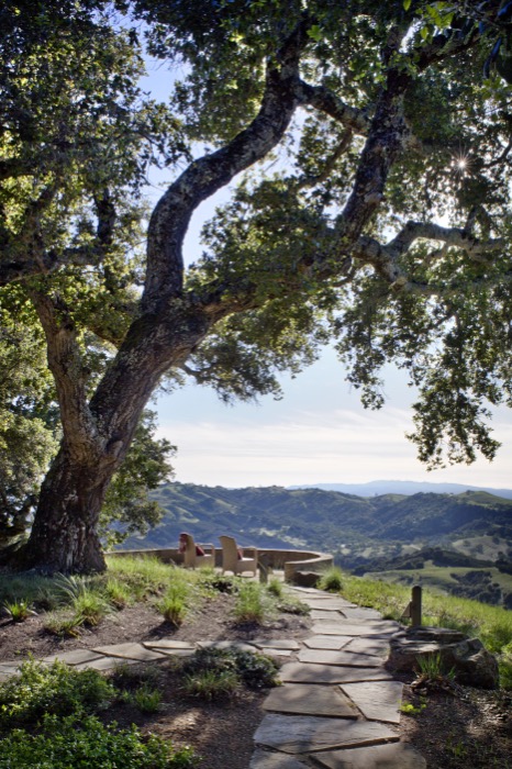 View Finder By Arterra Landscape Architects