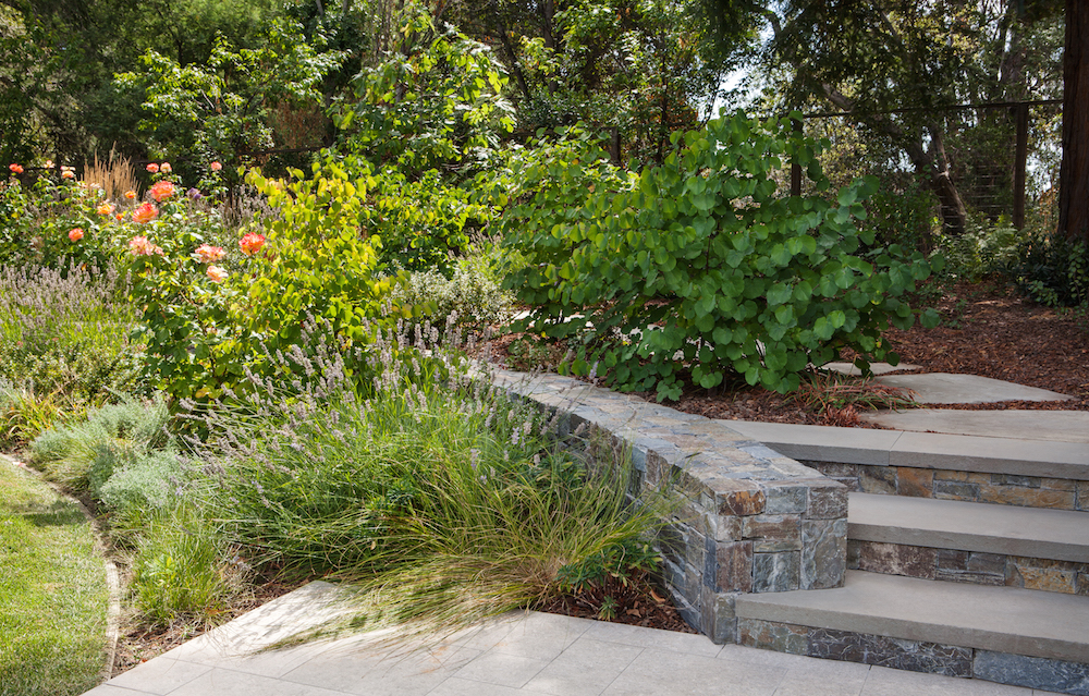 Menlo Park Family Home by Arterra Landscape Architects Photo by Michele Lee Willson