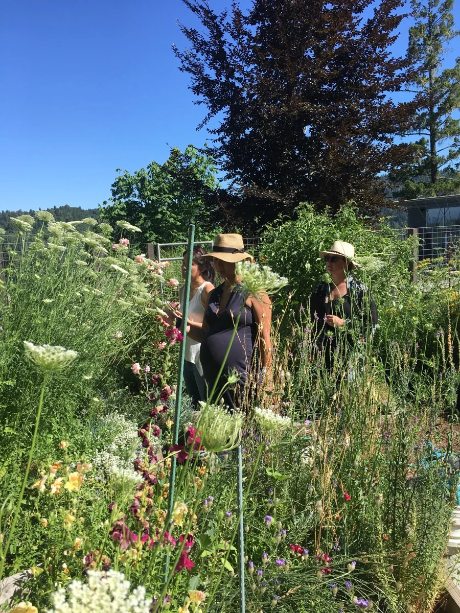 47e84-arterra-landscape-healdsburg-garden-07.jpg