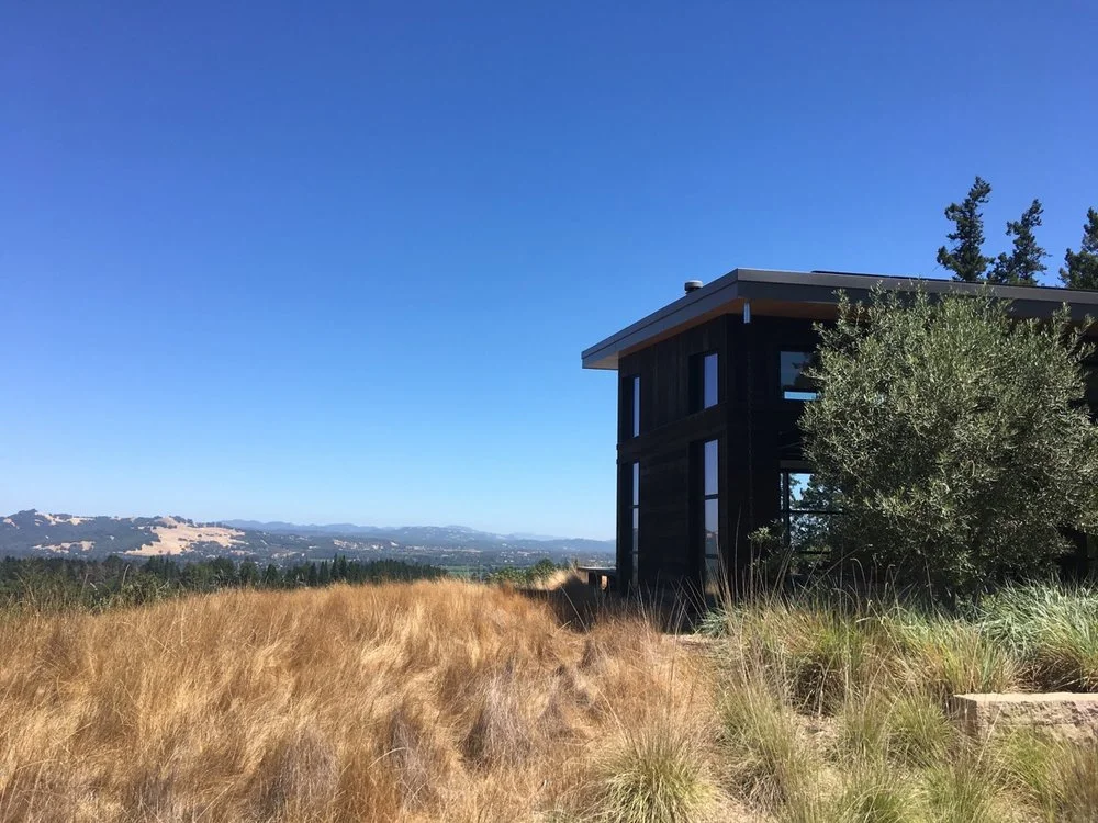 4b00c-arterra-landscape-healdsburg-garden-05.jpg