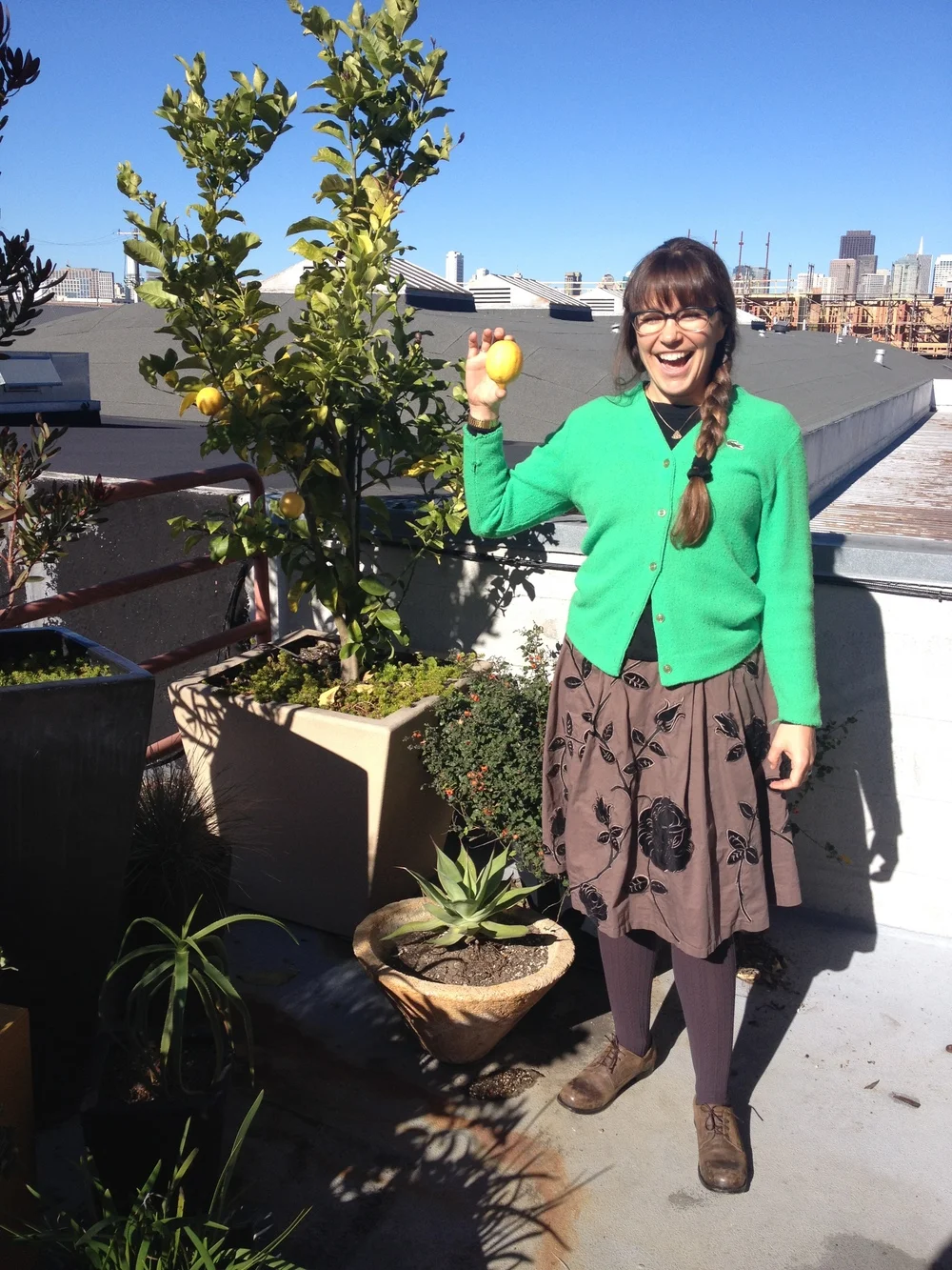 Alyssa harvested our very first ripe one.