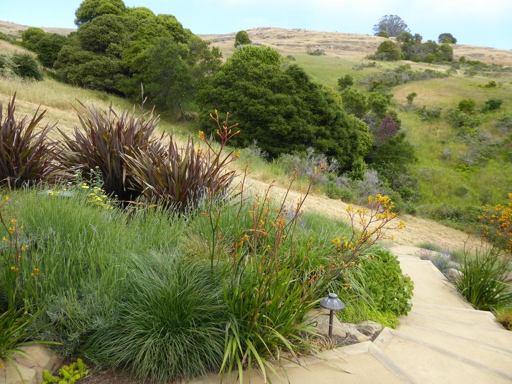 f30a2-marin-garden-tour-09.jpg