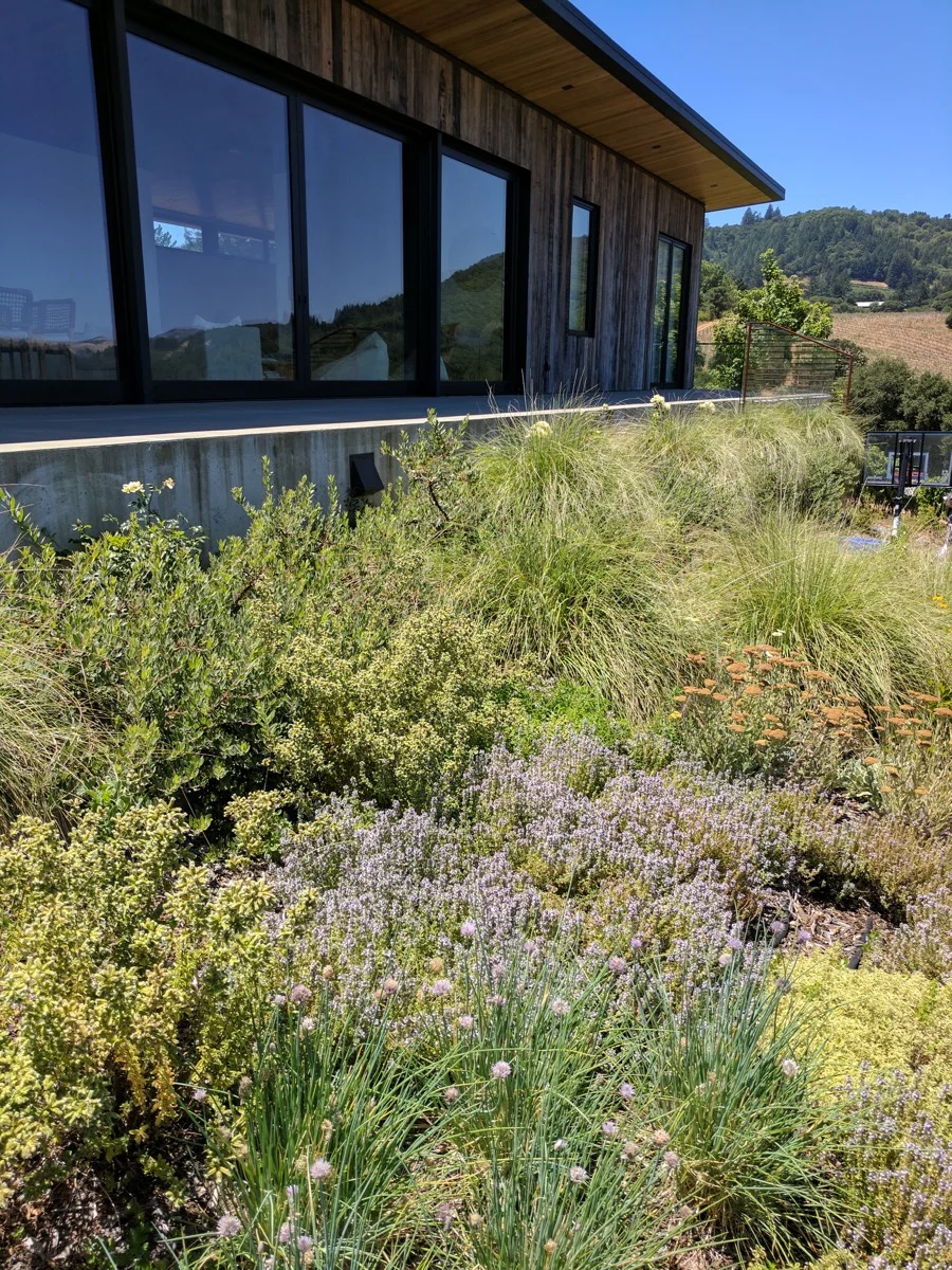 43f2d-arterra-landscape-healdsburg-garden-14.jpg