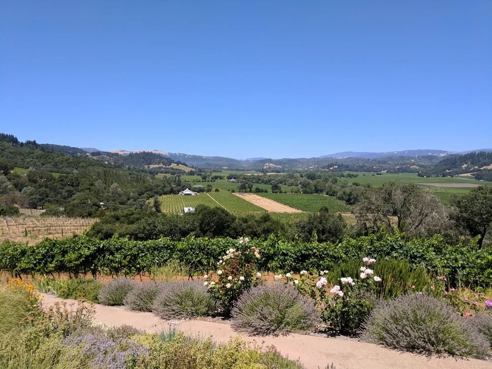 8da8d-arterra-landscape-healdsburg-garden-13.jpg