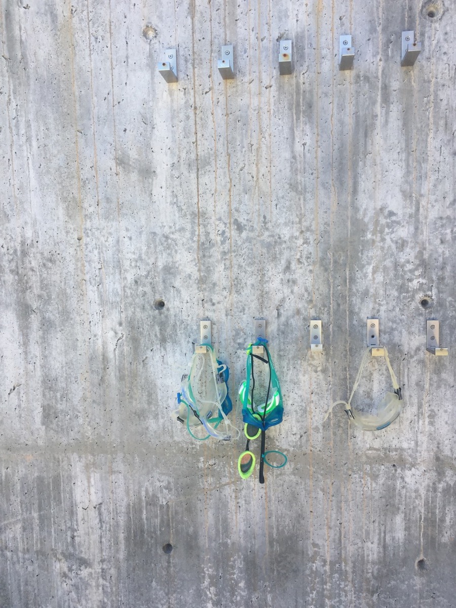 Studio Garden Tour