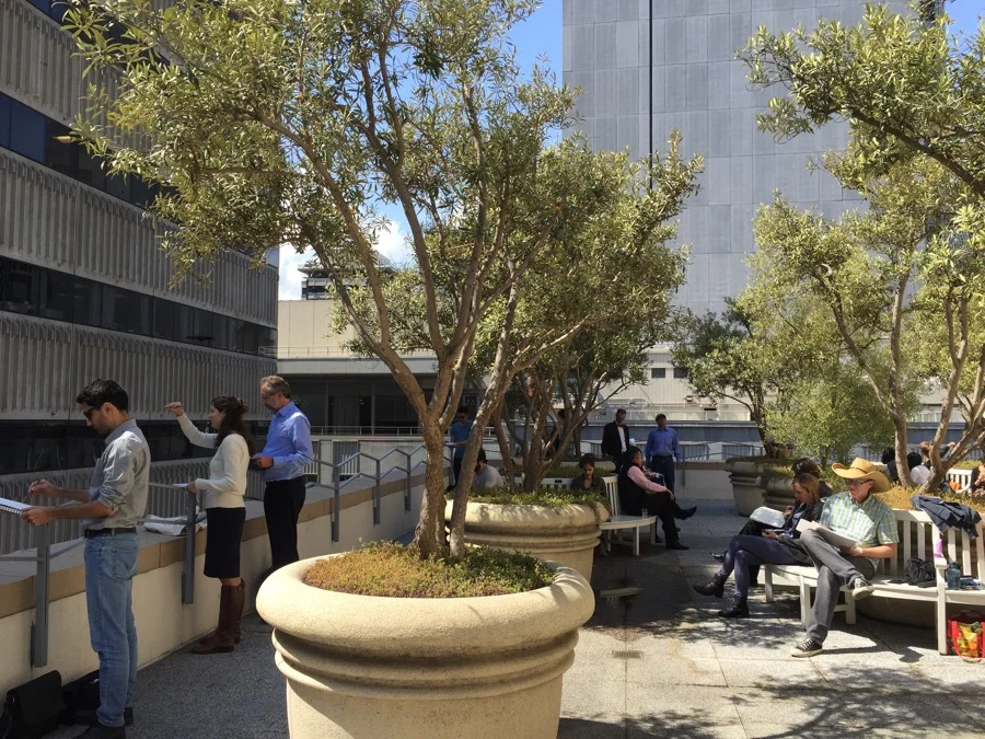 Sketchy Tuesday on the Rooftop