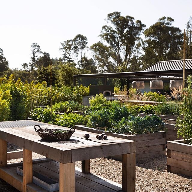 Growing food was one of the major design components of this home landscape. Production beds and work table provide enclosure for the dining and pizza oven to the East. A fruit tree orchard balances the site to the west with cozy seating area and kiwi