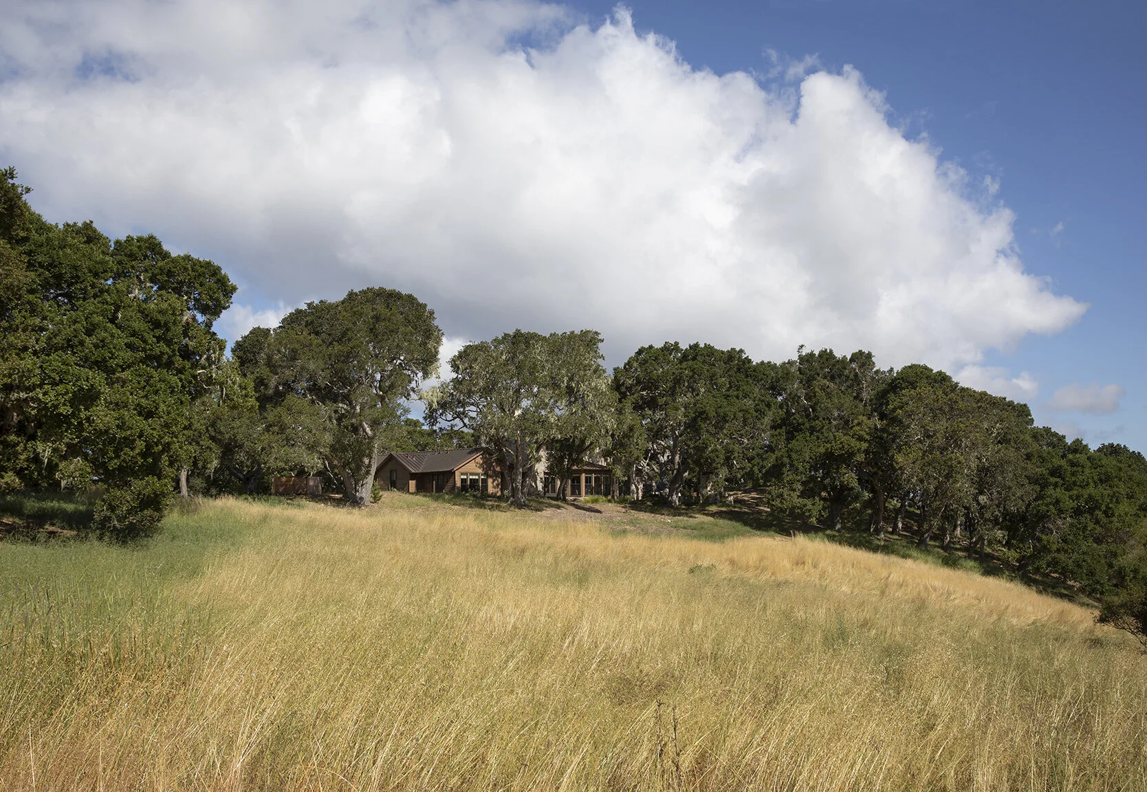 One of the landmark oaks shades the entrance to the home.