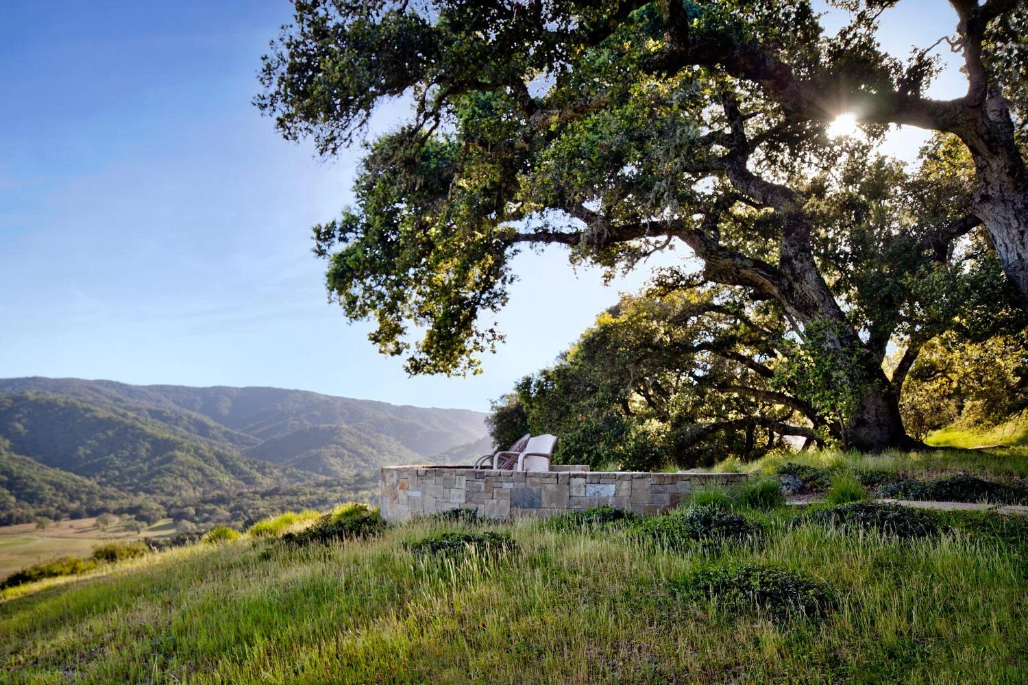 arterra-landscape-architects-carmel-california-02.jpg