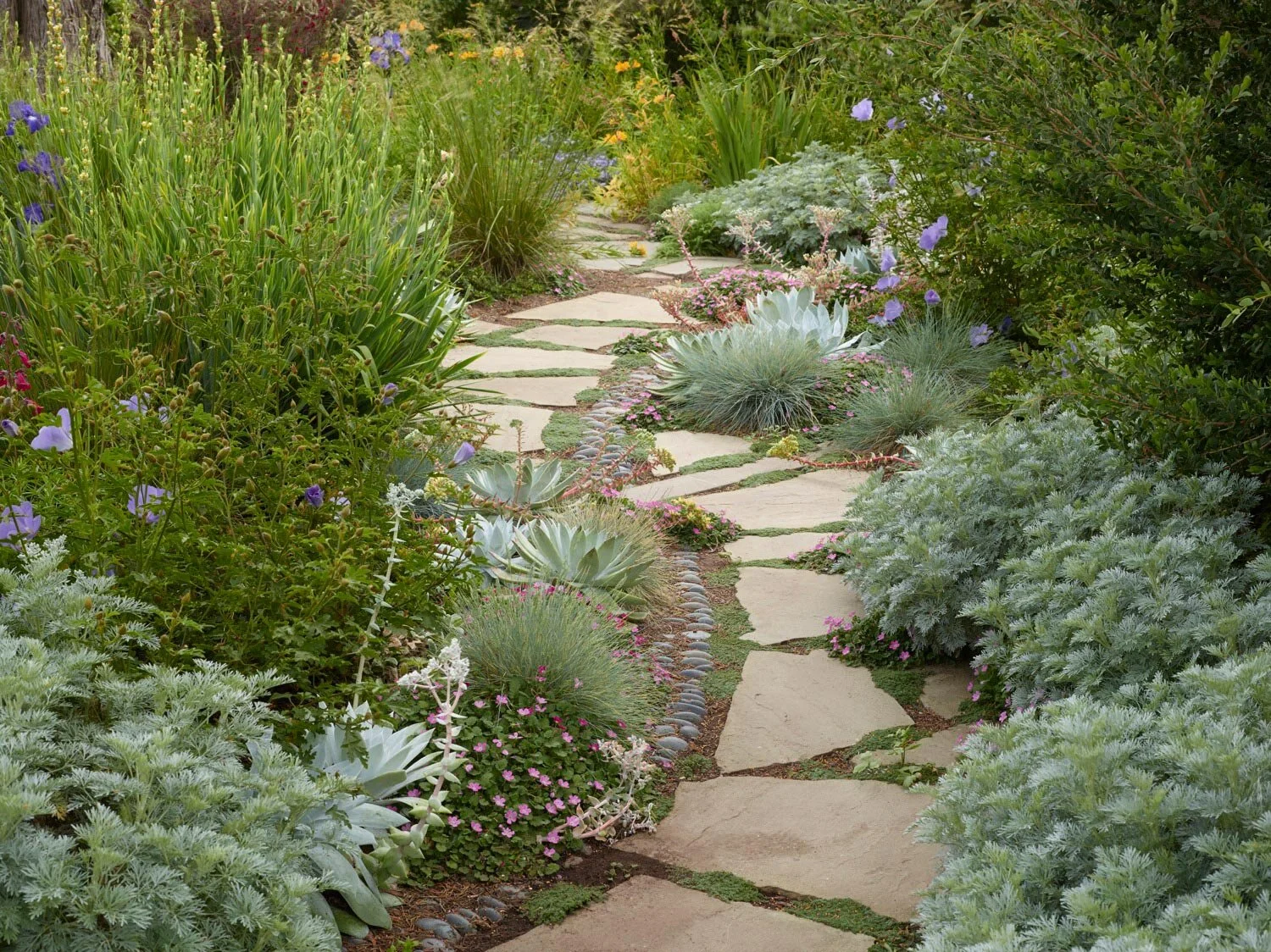 arterra-landscape-architects-carmel-california-18.jpg