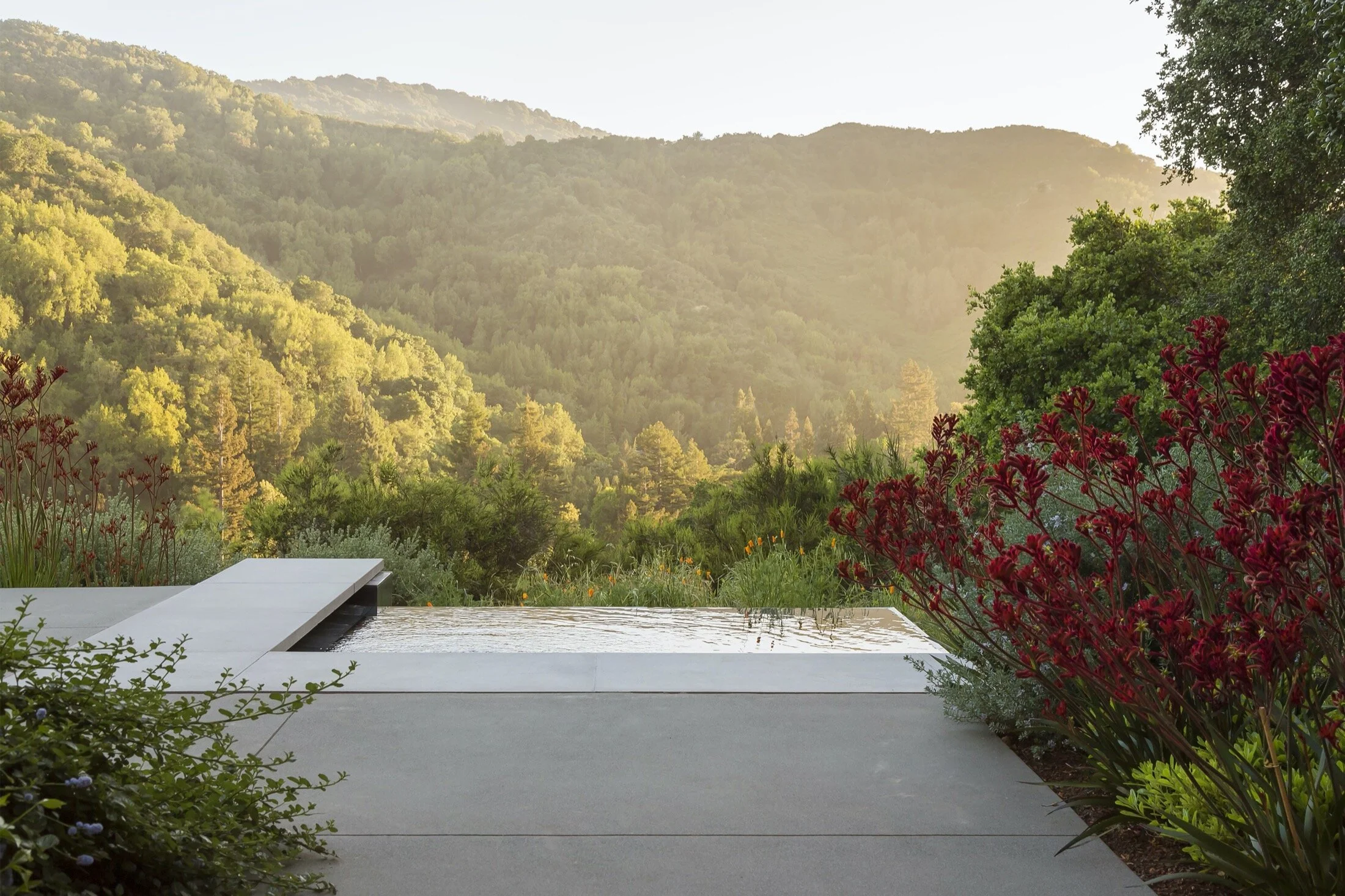 arterra-landscape-architects-2.jpg