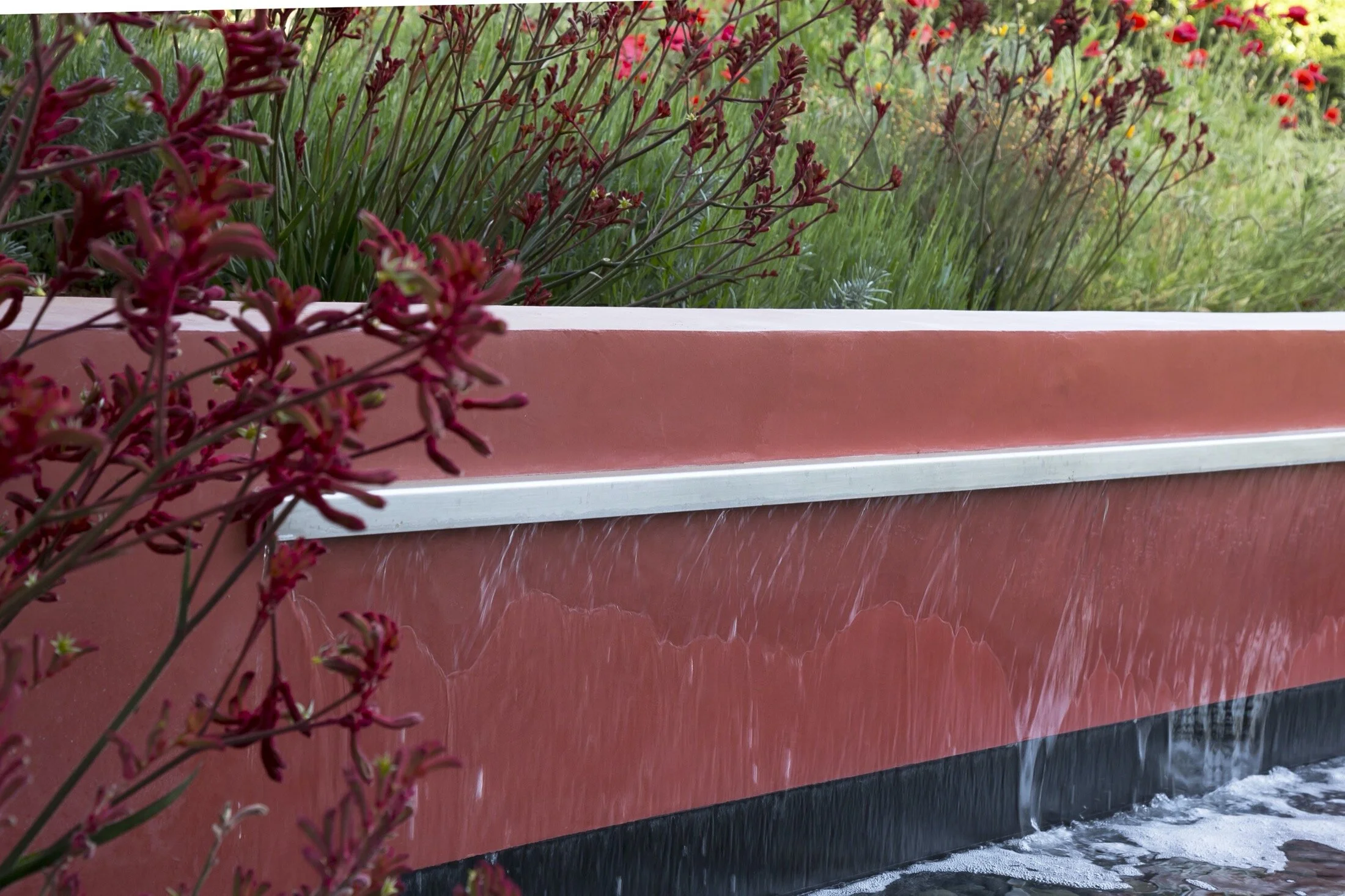 arterra-landscape-architects_slot-house-1.jpg