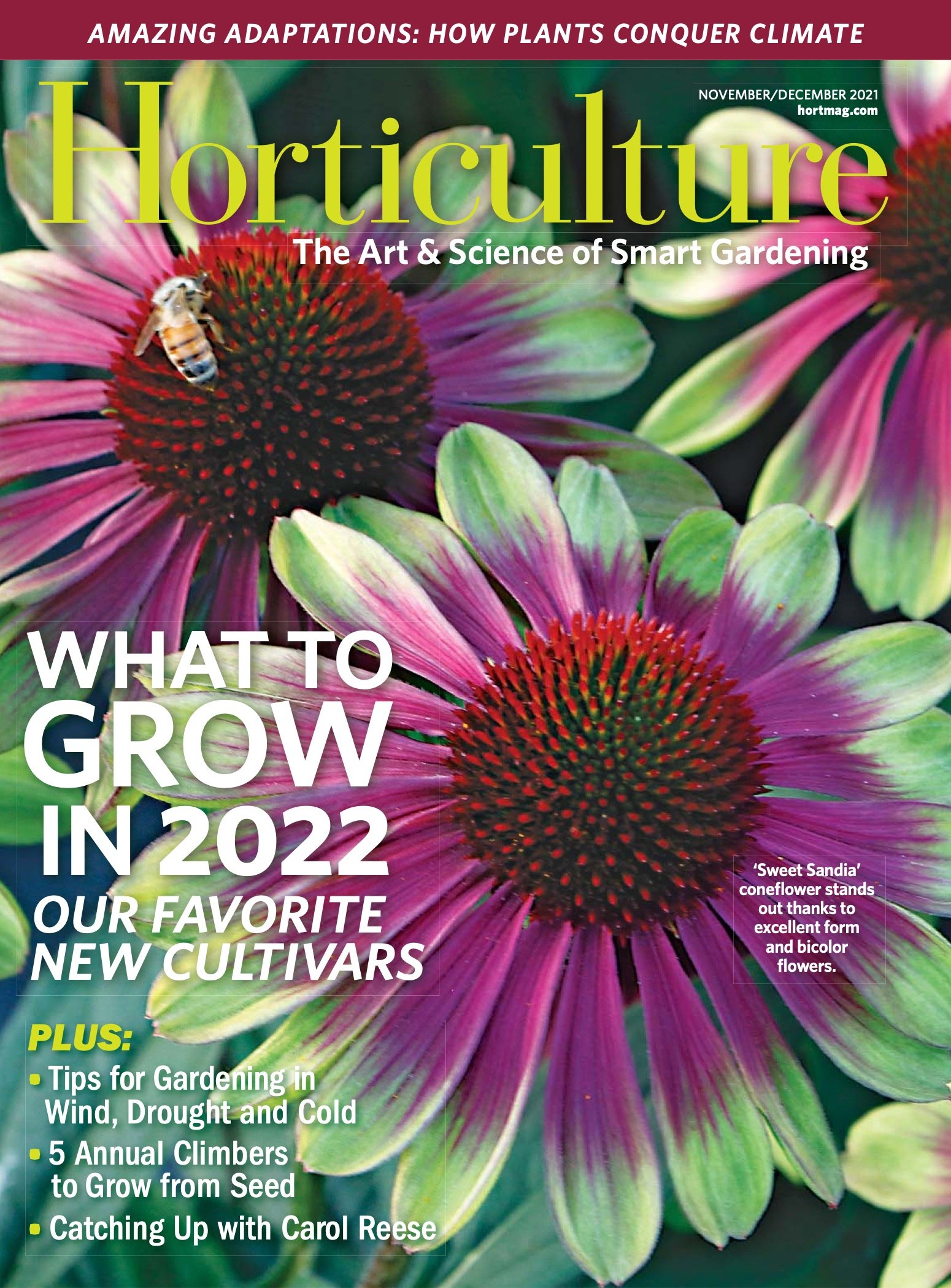 Horticulture Magazine 2021
