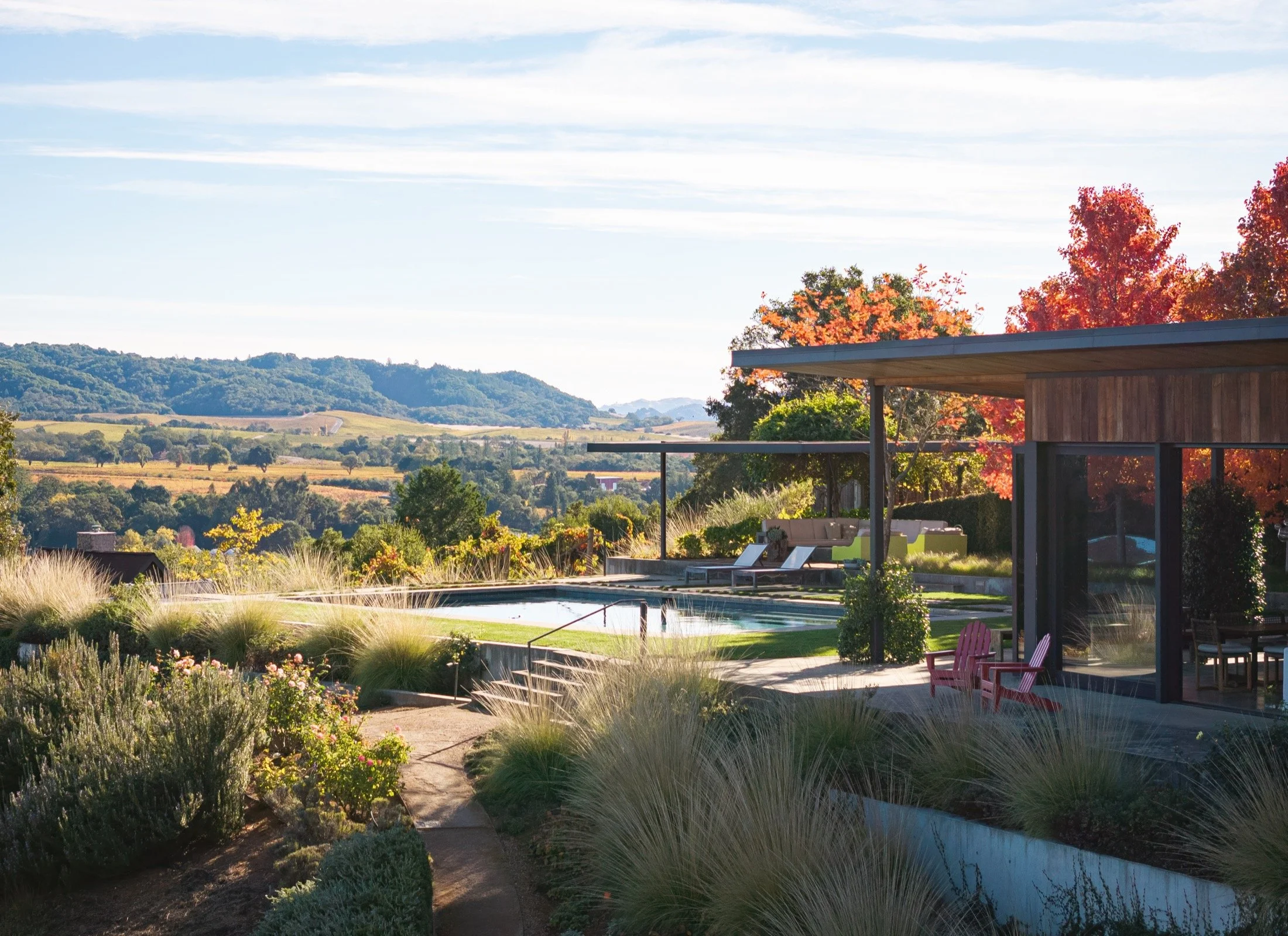 Dry Creek-Mohit-Arterra -2.jpg