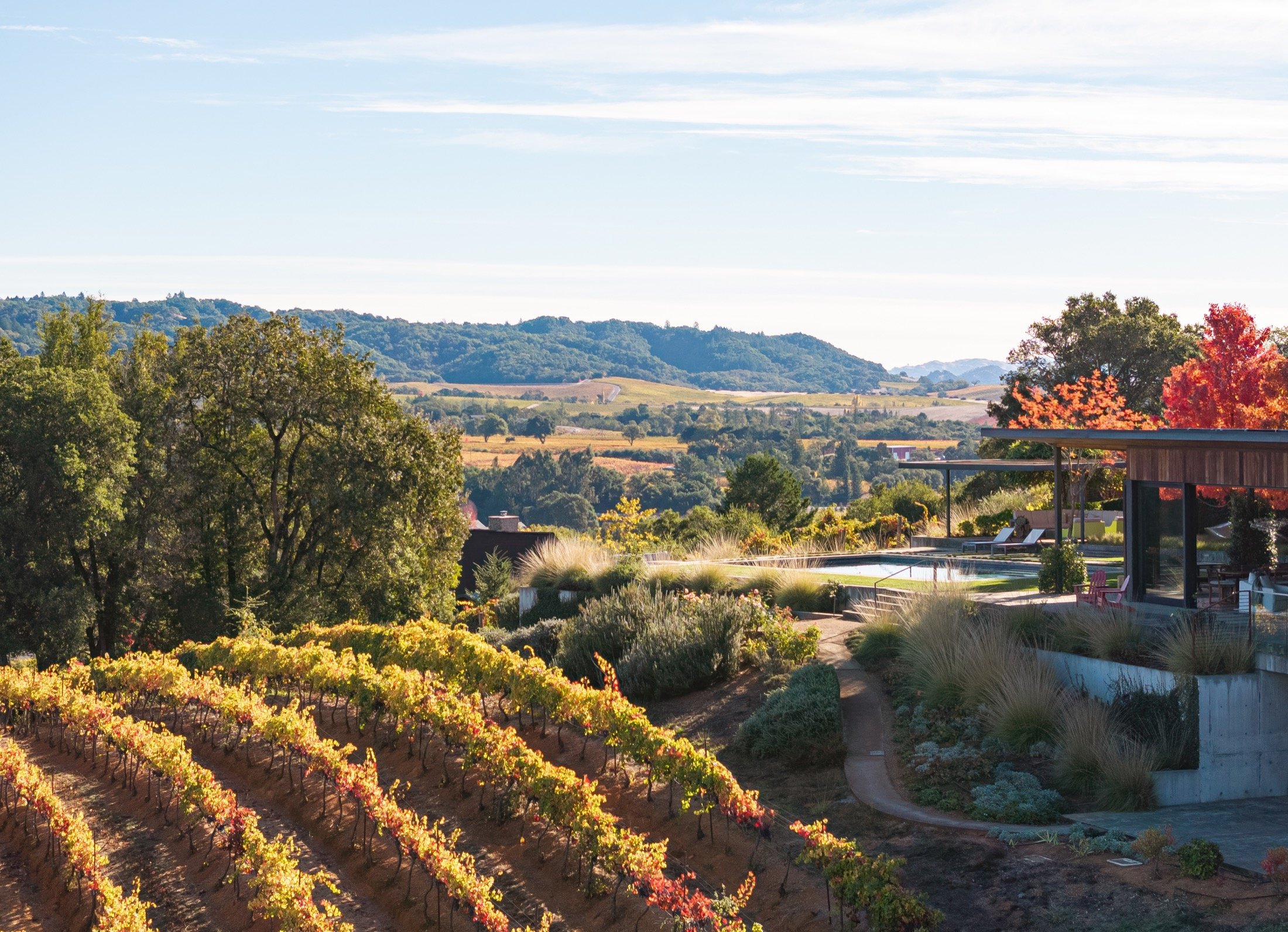 Dry Creek-Mohit-Arterra -3.jpg