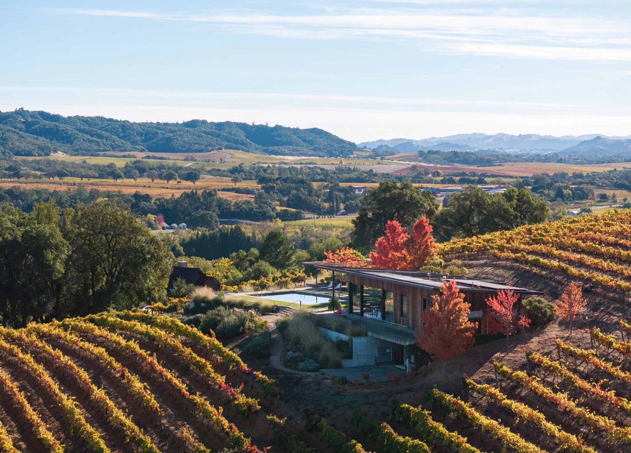 Dry Creek-Mohit-Arterra -4.jpg