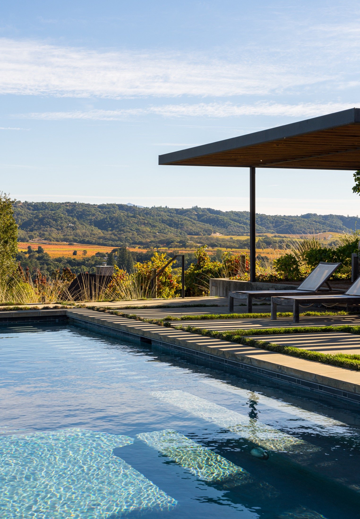 Dry Creek-Mohit-Arterra -12.jpg