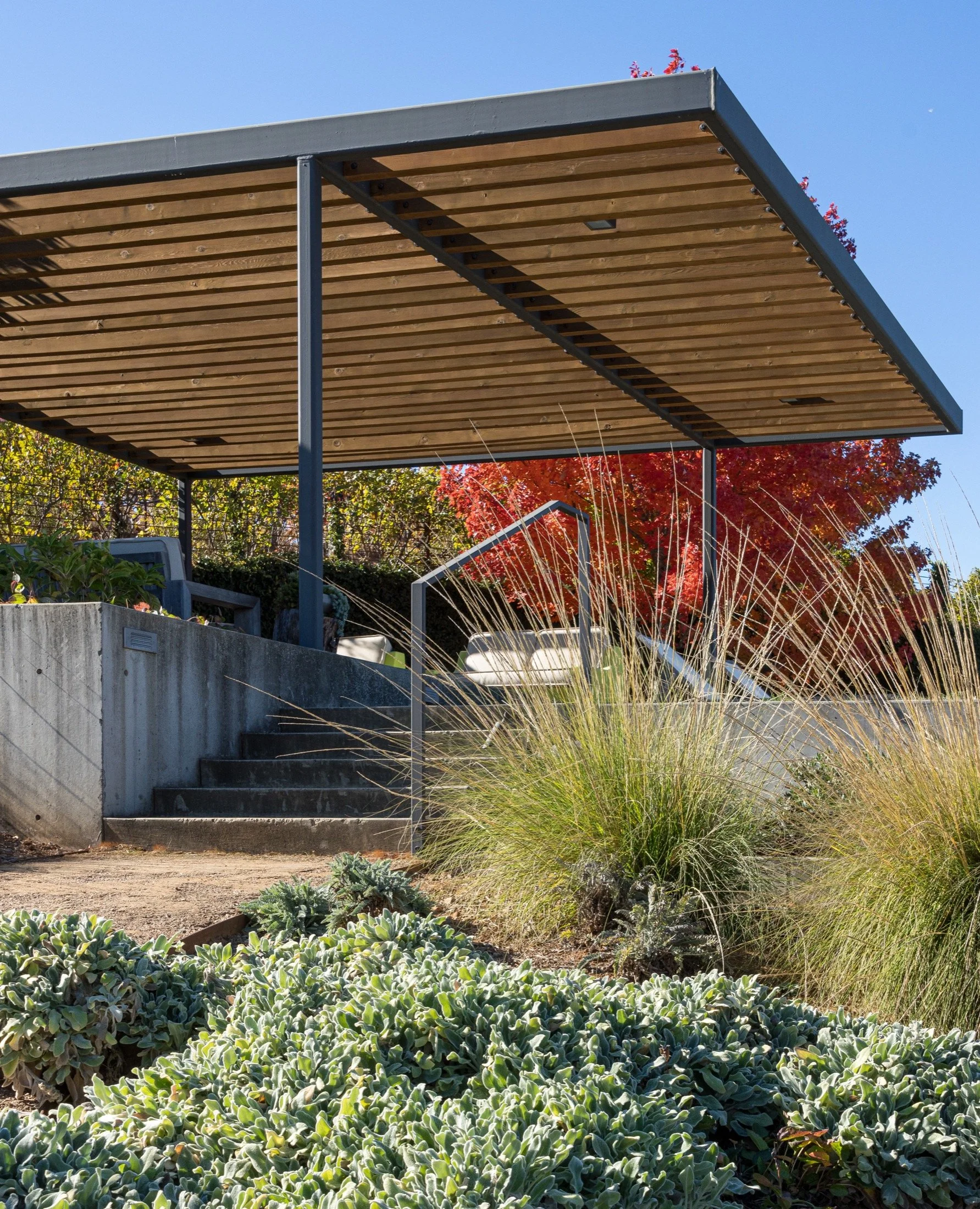 Dry Creek-Mohit-Arterra -14.jpg