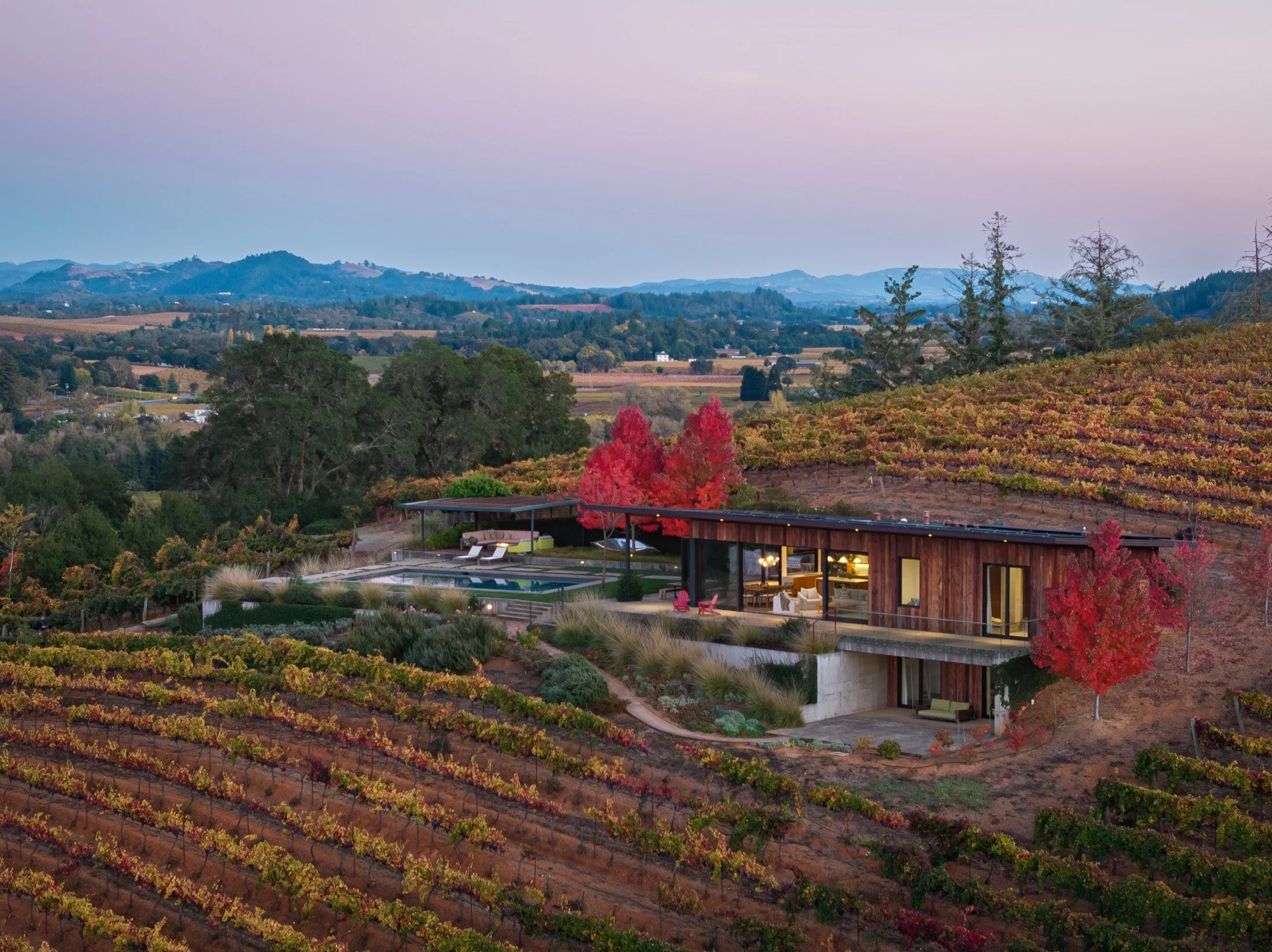 Dry Creek-Mohit-Arterra -25.jpg