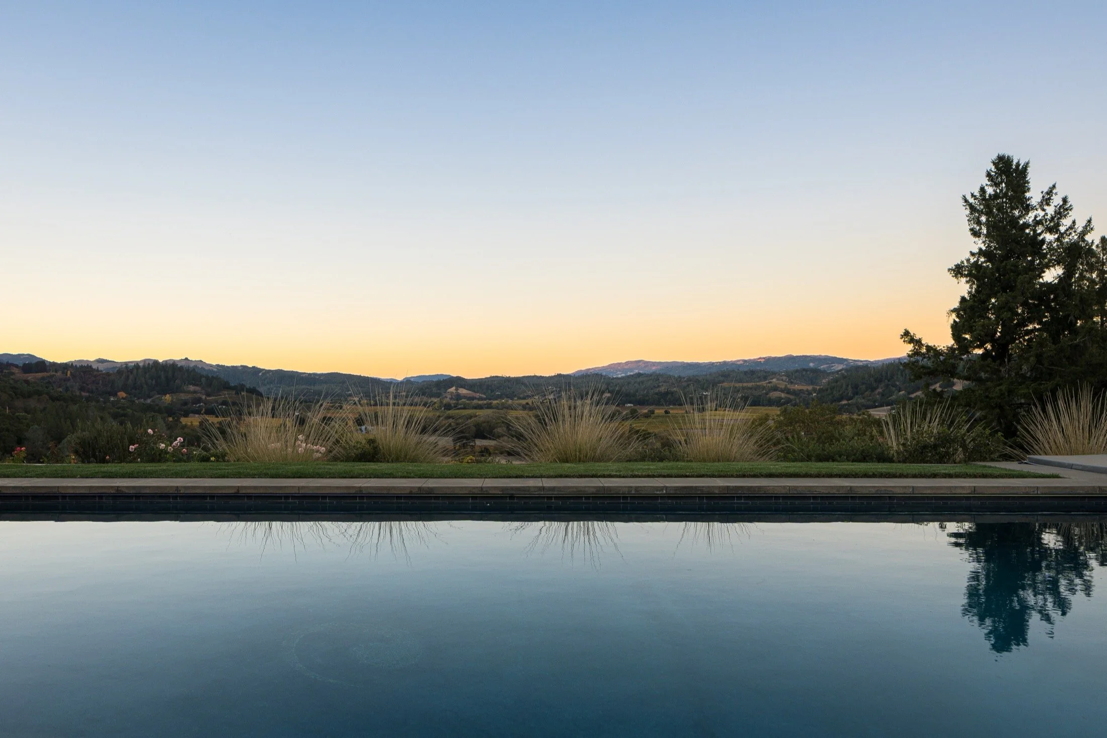 Dry Creek-Mohit-Arterra -31.jpg