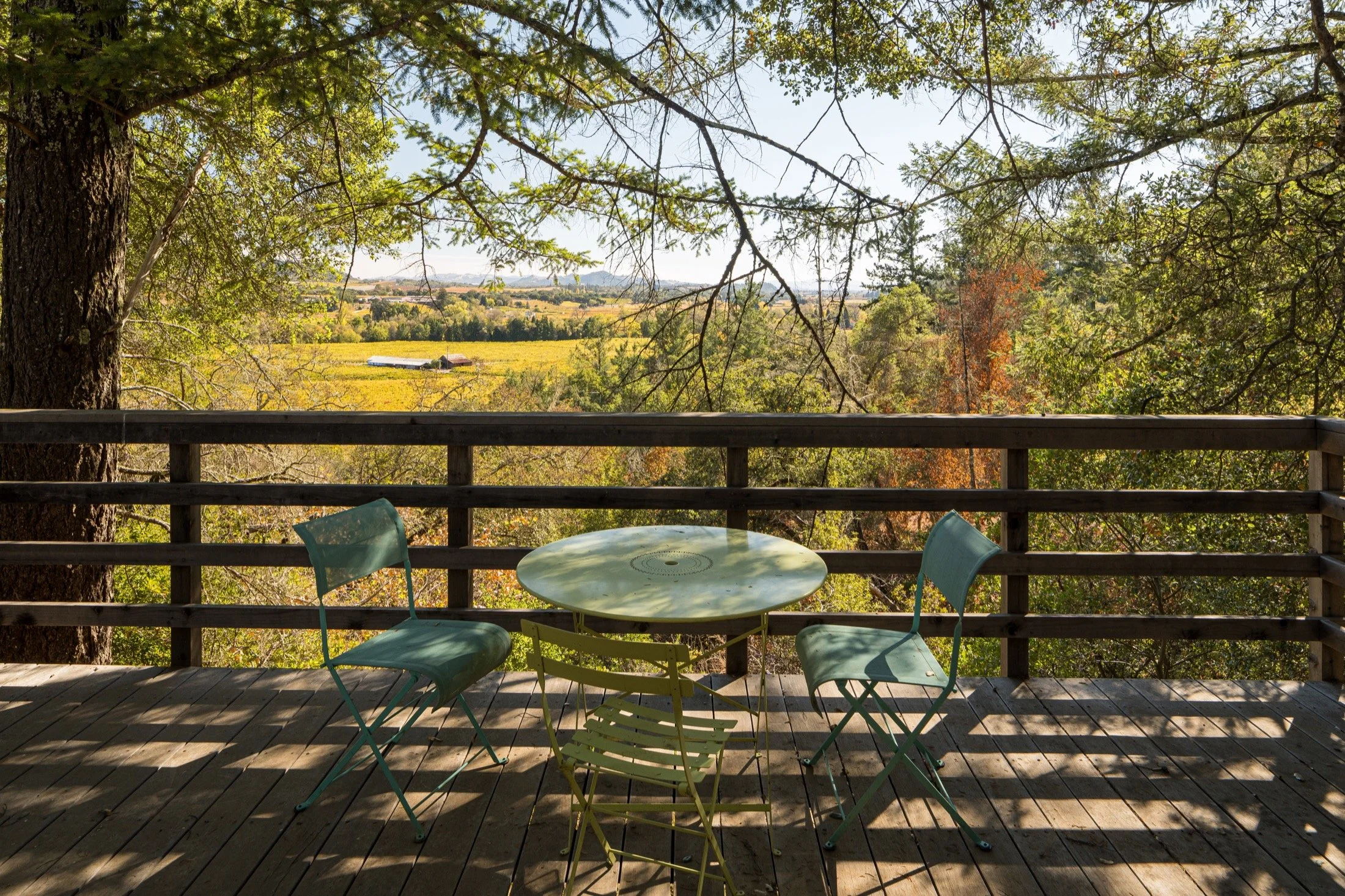 Dry Creek-Mohit-Arterra -38.jpg