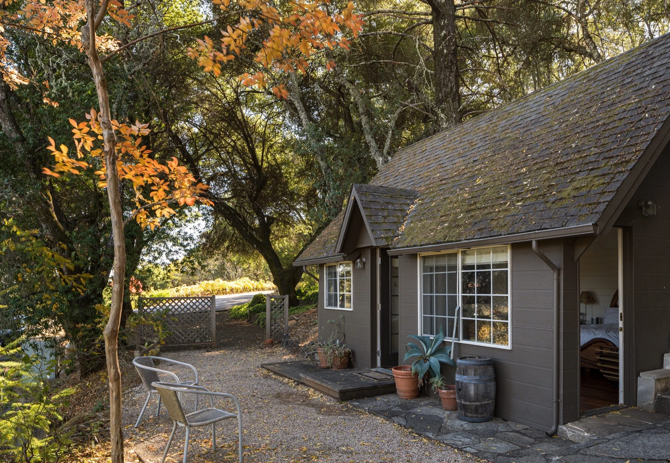 Dry Creek-Mohit-Arterra -39.jpg