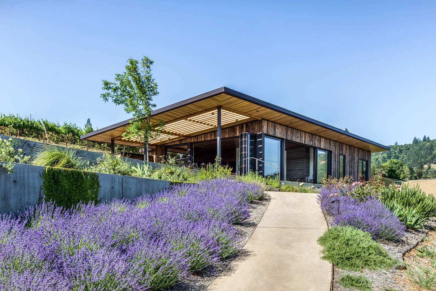 ChristopherStark_Arterra_160525_2747 (2755)_web.jpg